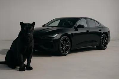 متاح للأيجار الشخصي فقط اسبورتاج ٢٠١٨ بيجو ٥٠٨ اسبورتاج ٢٠٢٢