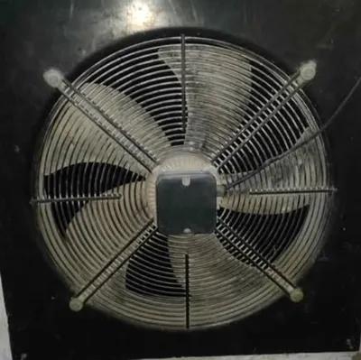 شفاط 55 Cm في جليم, الإسكندرية - 1,800 EGP