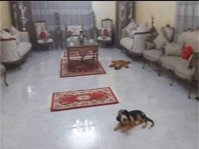 شقة للبيع في المهندسين