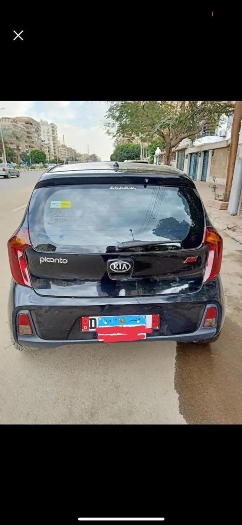 بيكانتو للبيع