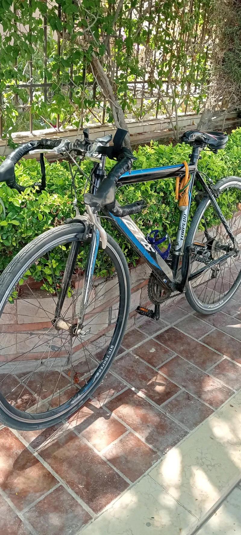 عجل GTc كسرزيرو