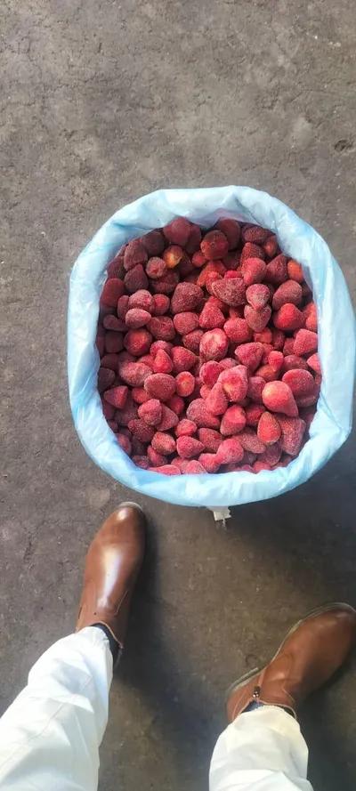 شركة الاتحاد للإستيراد والتصدير ثقه وجوده وامان في جسر السويس, القاهرة - 0 EGP