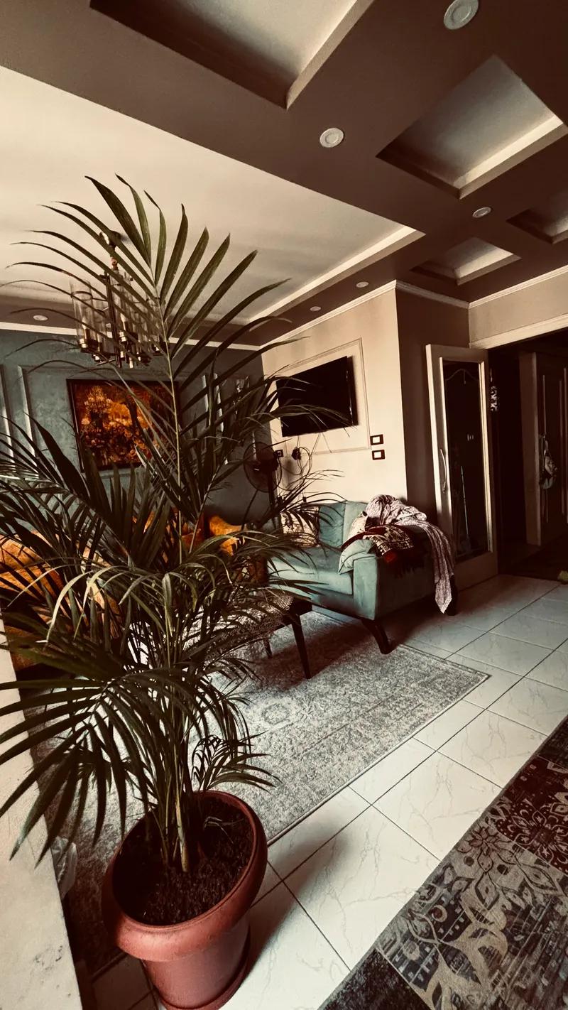 شقه في سموحه