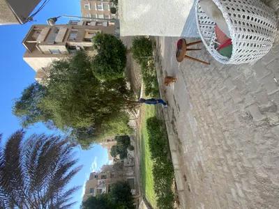 شقة للبيع في التجمع الثالث