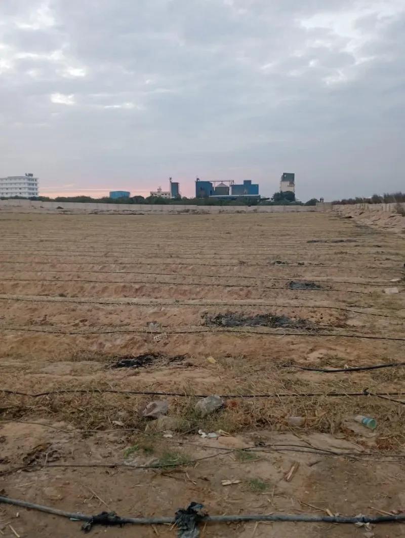 85فدان للبيع