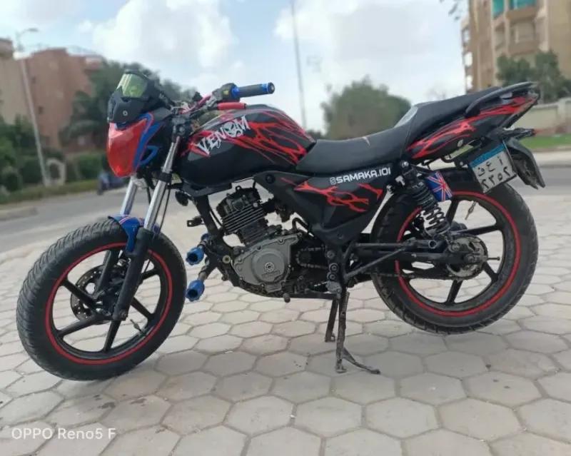 بنلي ايطالي