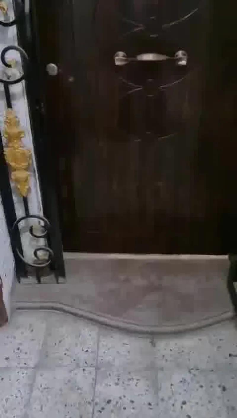 شقة ب الشيخ زايد