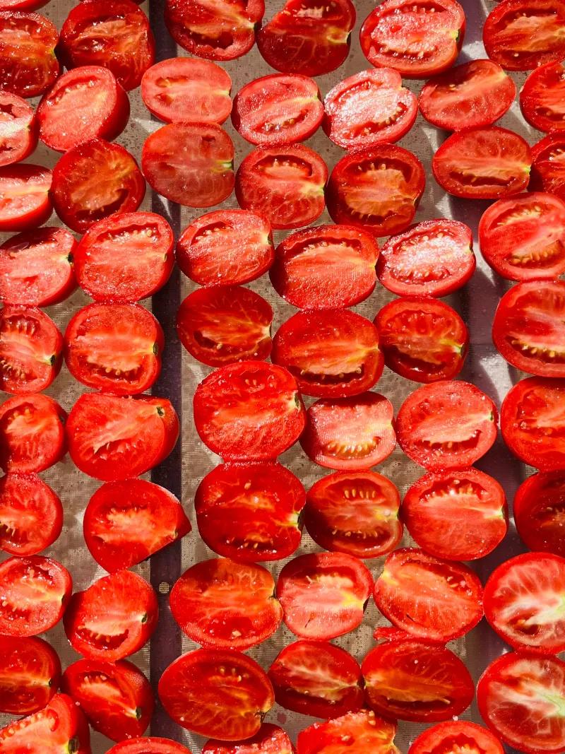 مشروع حدائق اسنا