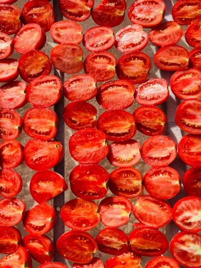 مشروع حدائق اسنا في مدينة الأقصر, الأقصر - 125,000 EGP