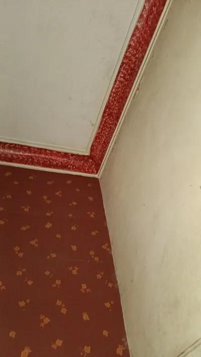 شقة للبيع في الزمالك