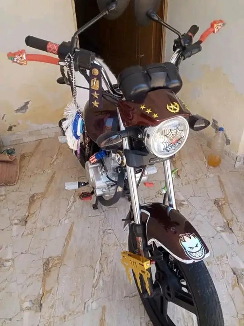 هوجن 3 استراد بورق