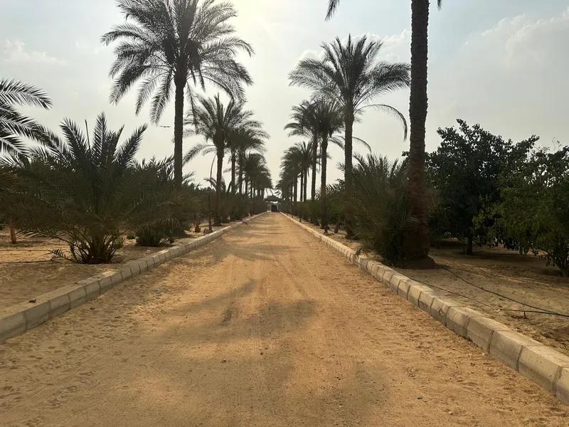 مزرعه +فيلا