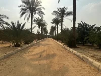 مزرعه +فيلا