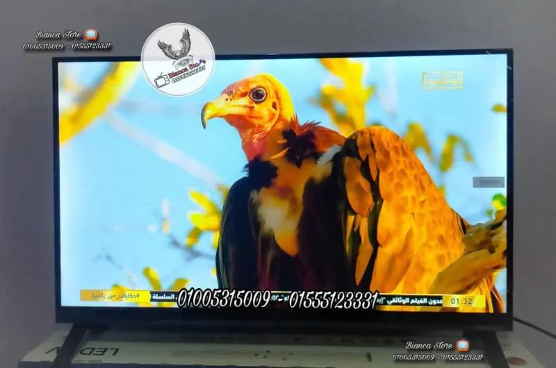 شاشة تلفزيون 32 بوصة سينكس فريمليس ICast رسيفر داخلي Syinix