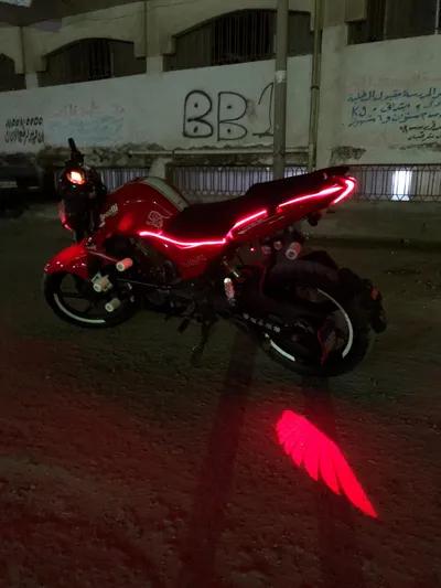 بينيلي فى ال ار 2024