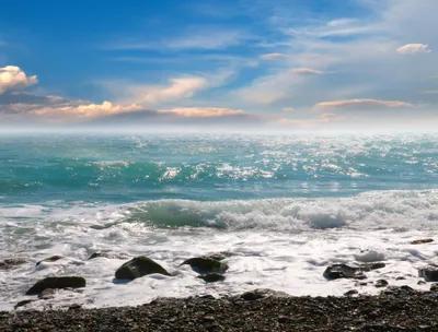 شقه للايجار في اسكندريه