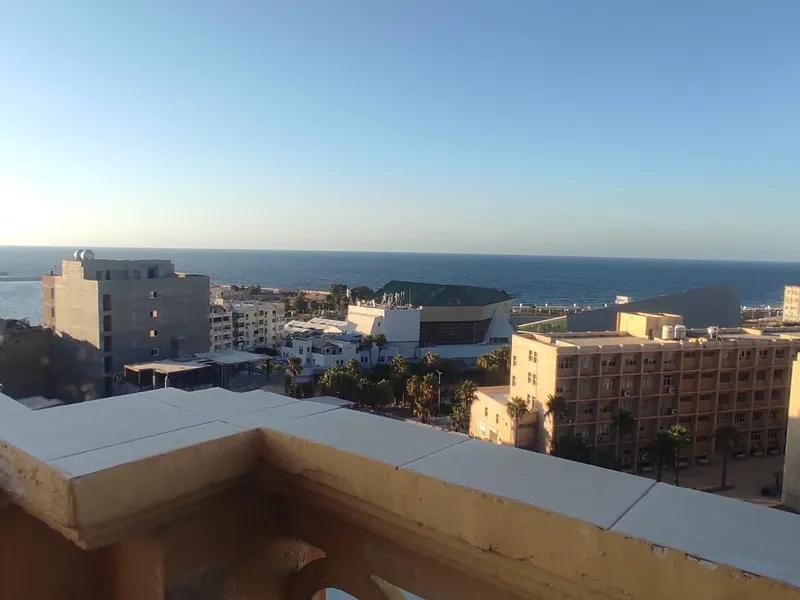 شقه من المالك مباشره بدون وسيط