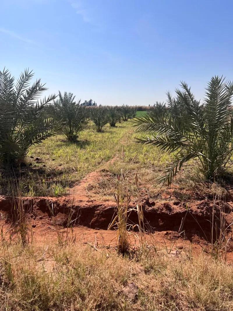 20 فدان للبيع