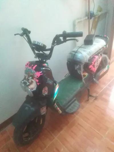 فيجوري adv 2025