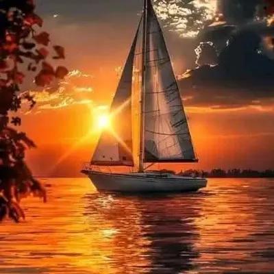 أرض سكنية للبيع في مناطق اخرى في الإسكندرية