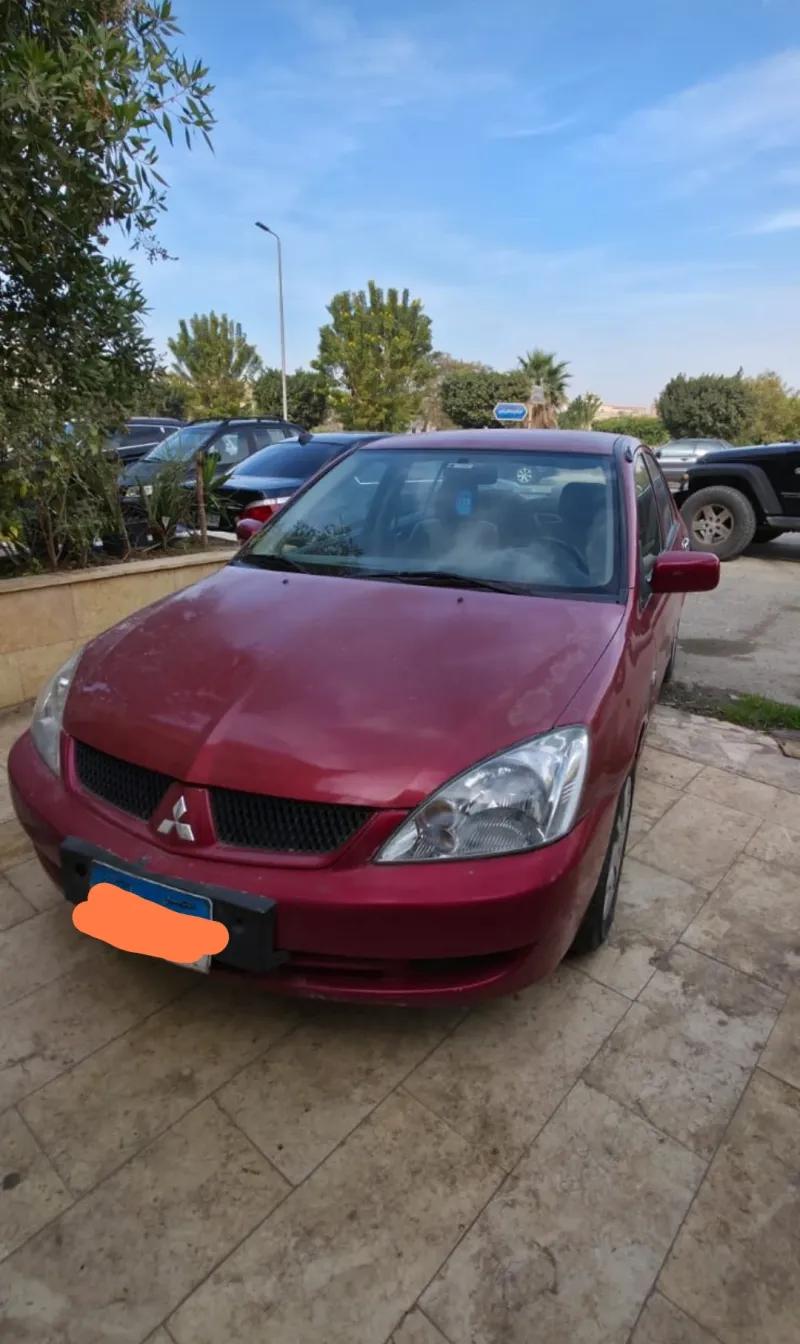 لانسر بومة حالة نادرة