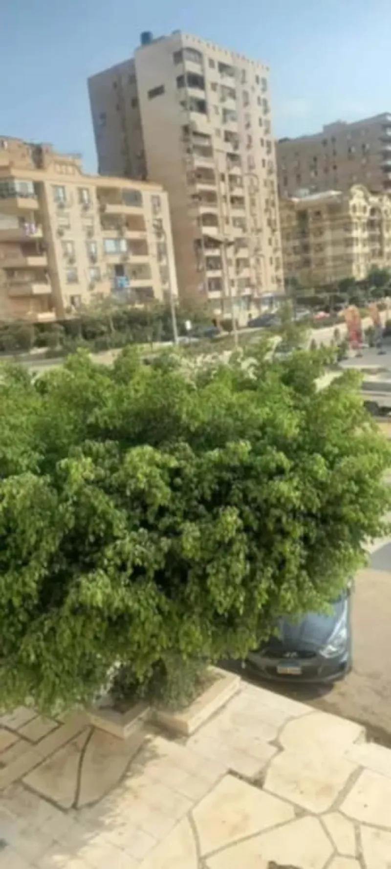 شقة المنطقة التاسعة مدينة نصر