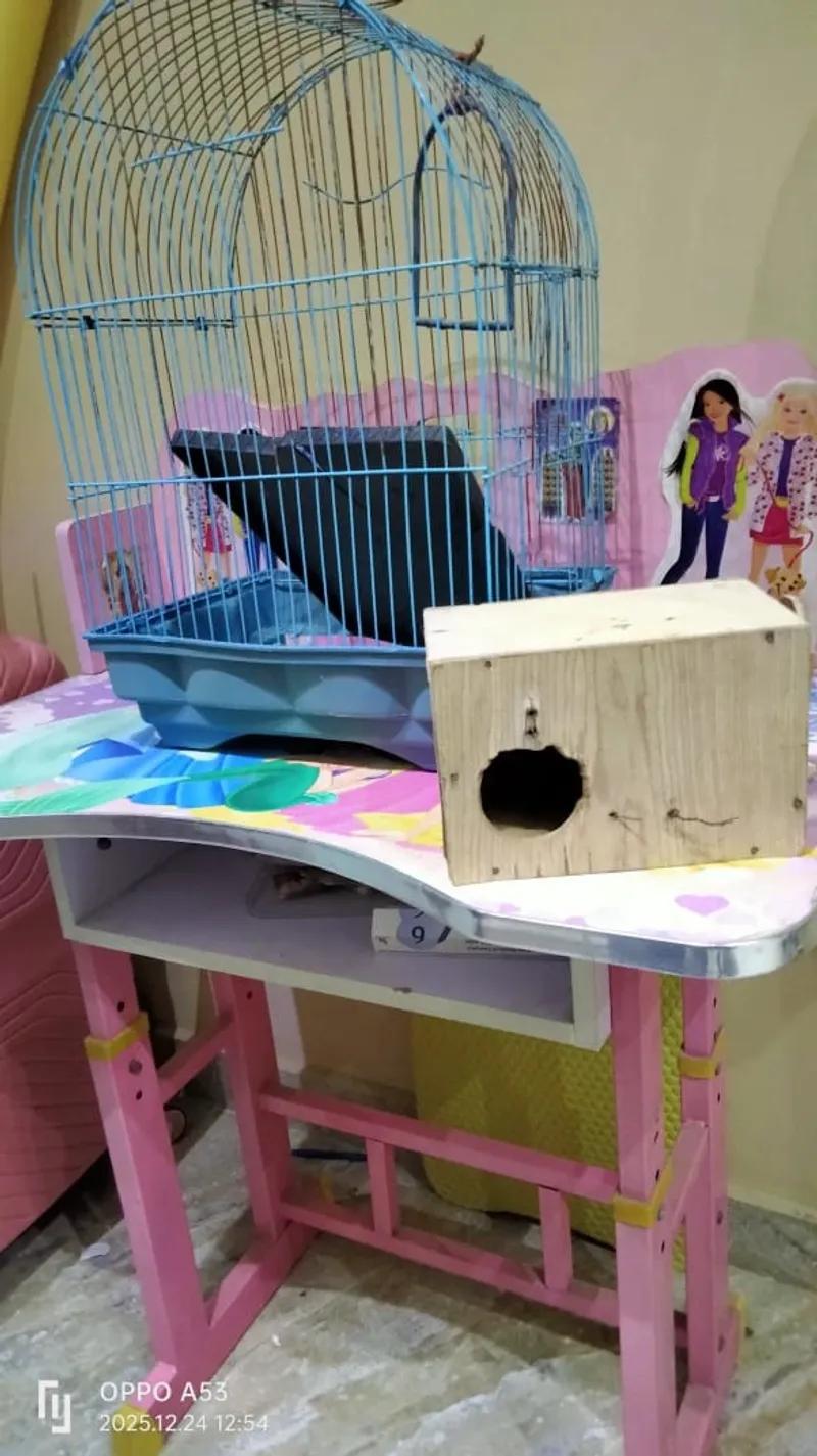 قفص عصافير كبير بالعش جرار شنطة مكتب بناتي