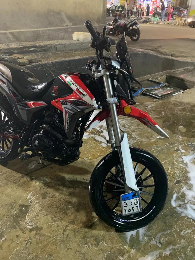 فيجوري 250 2022