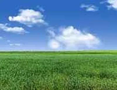 فدان زراعى للبيع على امتداد مستشفى الشرطه بطنطا