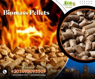 الوود بيليت في المعادي, القاهرة - 100 EGP