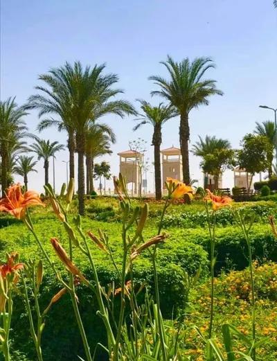 شقة للبيع في مناطق اخرى في القاهرة