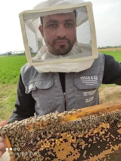 عسل نحل خام في برج العرب, الإسكندرية - 0 EGP