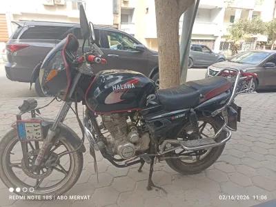 حلاوة تايجر 2018