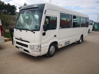 كوستر 21 كرسي الى العين السخنة