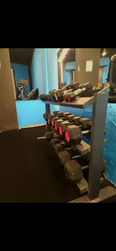 دامبيل سوداسي في قويسنا, المنوفية - 0 EGP