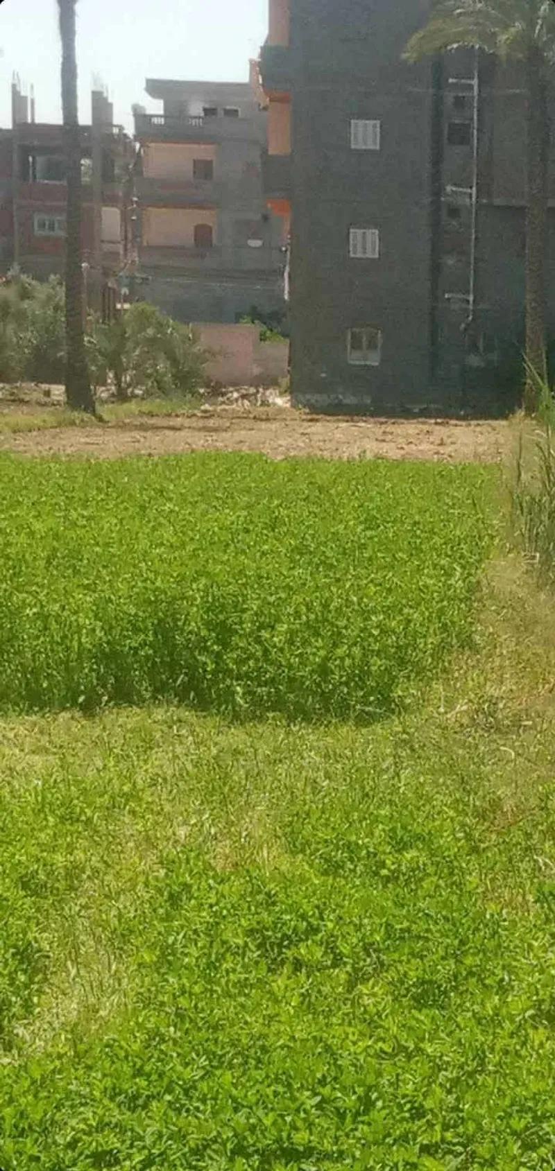 ارض للبيع بدمياط الجديده بسعر ممتاز