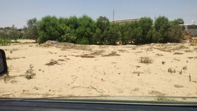 أرض سكنية للبيع في مدينة الإسماعيلية