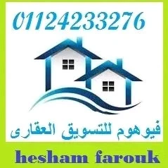 Hesham Farouk